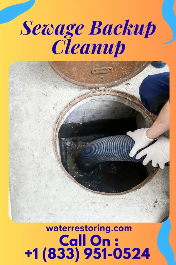 Sewage Backup Cleanup in Tipton, MO